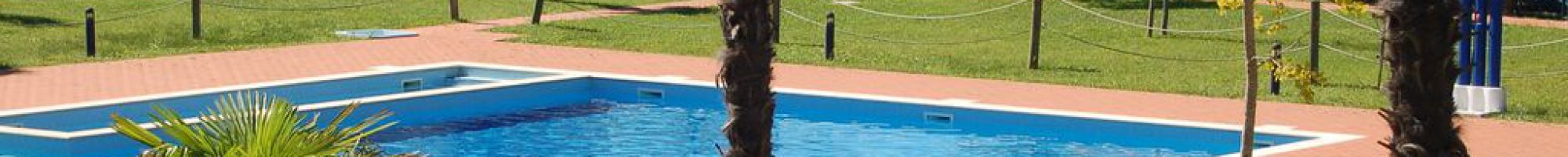 99df3cf5-79b2-492a-a884-98ec44596a7a_c10