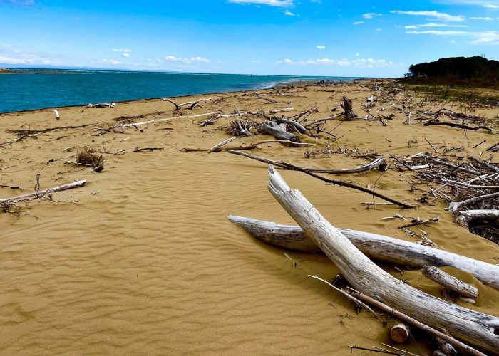 WhatsApp Image 2026-02-12 at 22.54.16 (2)