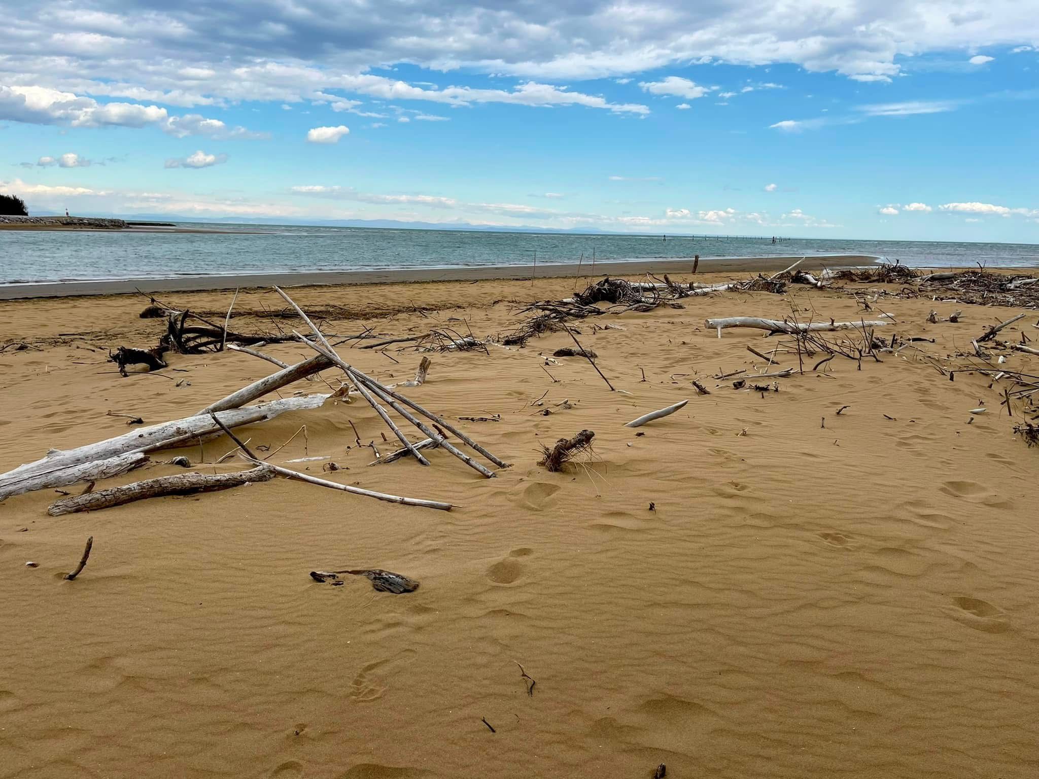 WhatsApp Image 2026-02-12 at 22.54.16 (1)