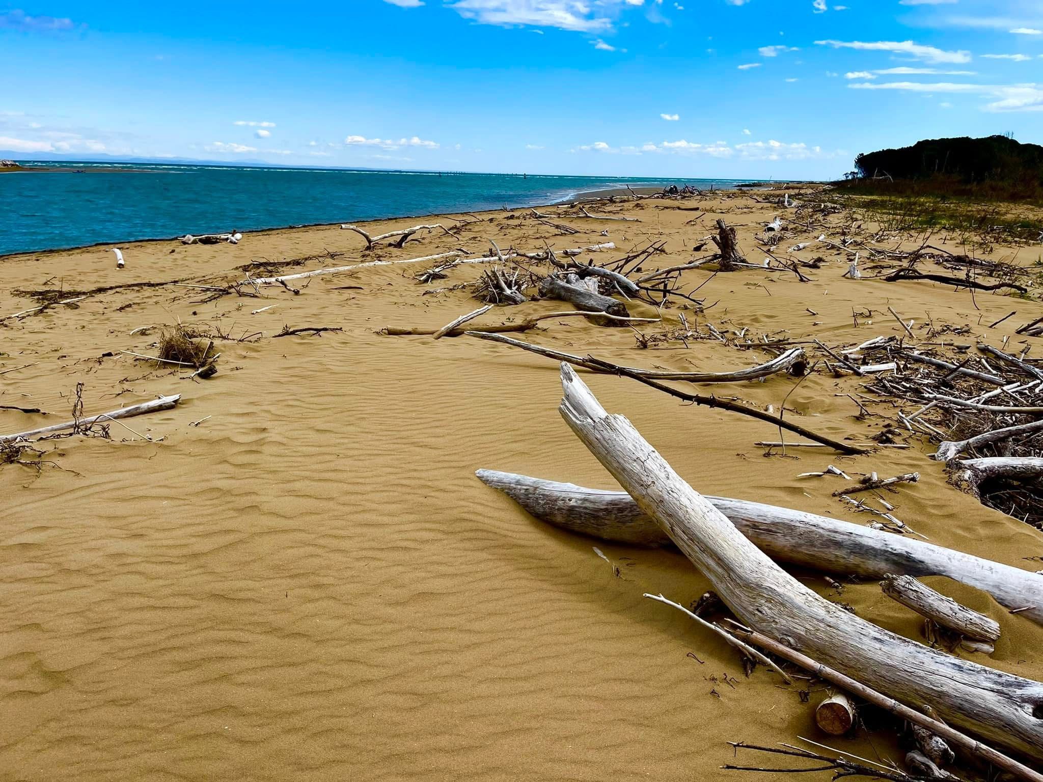 WhatsApp Image 2026-02-12 at 22.54.16 (2)